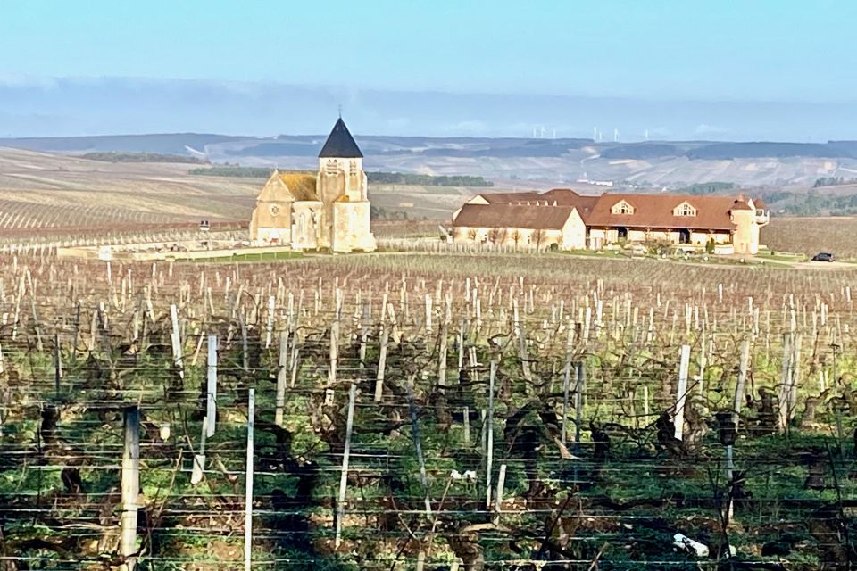 15 Burgundy Wines Chateau Pommard, Chablis Small-Group - Chablis Village Lunch: Real Break Time, Your Choice