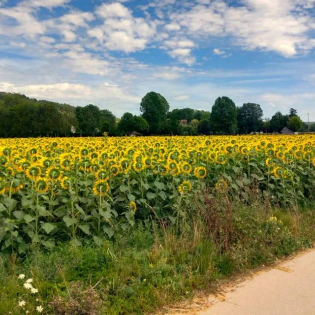 Bike tour from Vernon to Giverny with local guide - Who this is best for (and who should choose something else)