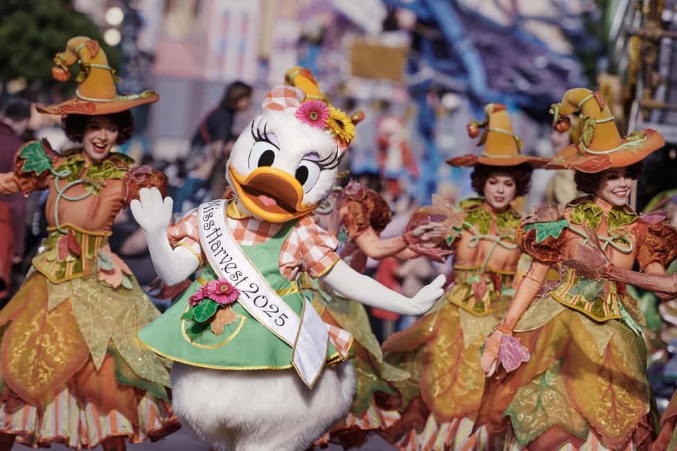 Disneyland® Paris Tickets for Train and Parks - Rules That Affect Your Comfort (and Your Day)