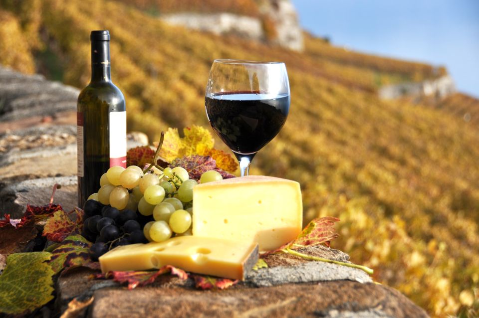 Exclusive Wine Day Trip Loire Valley from Paris - Food and wine pairings you can actually use