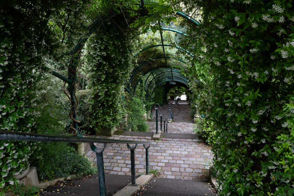 Exploring Belleville: Parisian Culture&Creativity in Motion - Markets and everyday Paris culture you can’t copy from a monument map