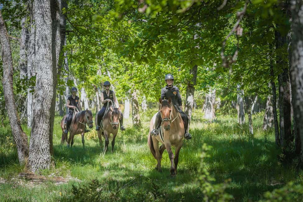 Fontainebleau : Horse-riding, Gastronomy & Château - Riding the Forêt de Fontainebleau for 1.5 hours: what it’s really like