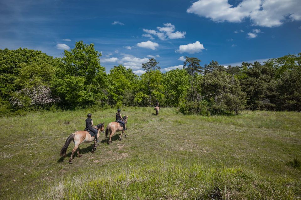 Fontainebleau : Horse-riding, Gastronomy & Château - From your hotel at 9 a.m. to the first ride: the day’s timing