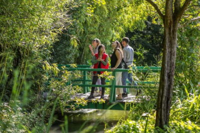 From Paris: Day Trip to Giverny & Versailles with Lunch - The Paris Morning: Comfort on the Way Out