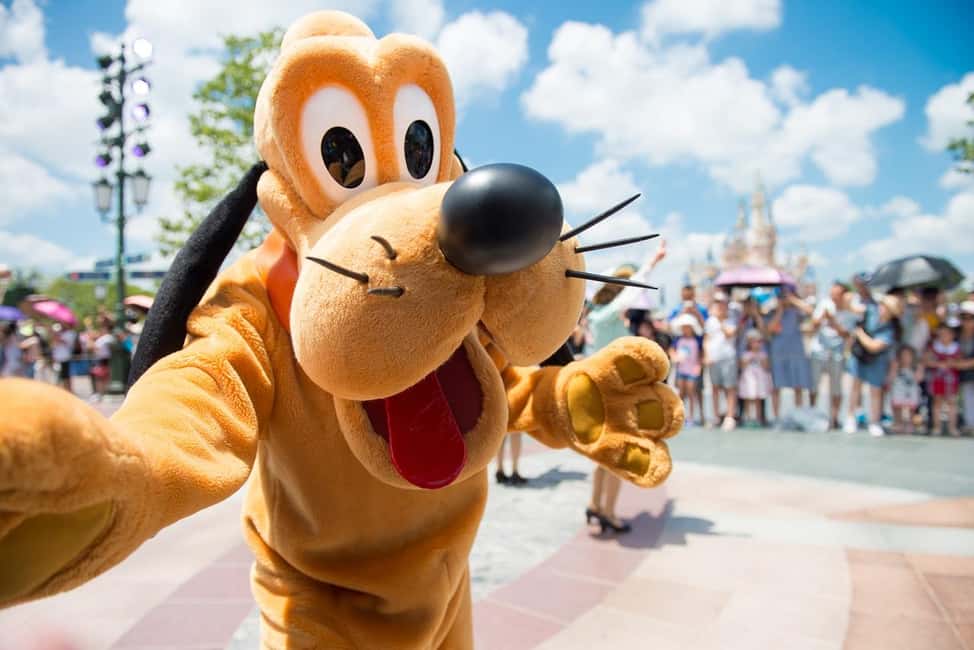 From Paris: Disneyland 1-Day Ticket & Private Transfer - Private Hotel Pickup That Keeps Disneyland Stress Off Your Plate