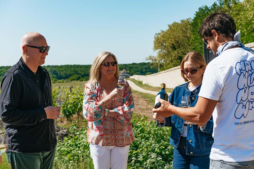 From Paris: Loire Valley Chambord Castle and Wine Tasting - A Small-Group Loire Day Trip That Starts in Paris