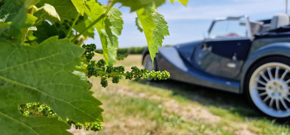 From Paris: Prestige Champagne Tour and Tastings - Who should book this Champagne day trip