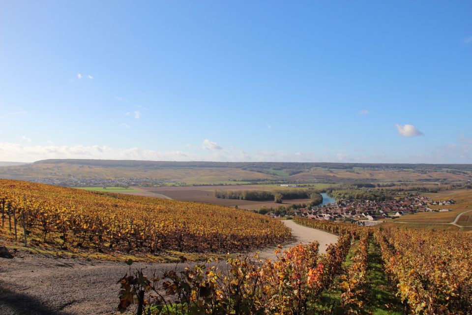 From Paris: Prestige Champagne Tour and Tastings - Michelin-star lunch in a château setting: what’s good and what to watch