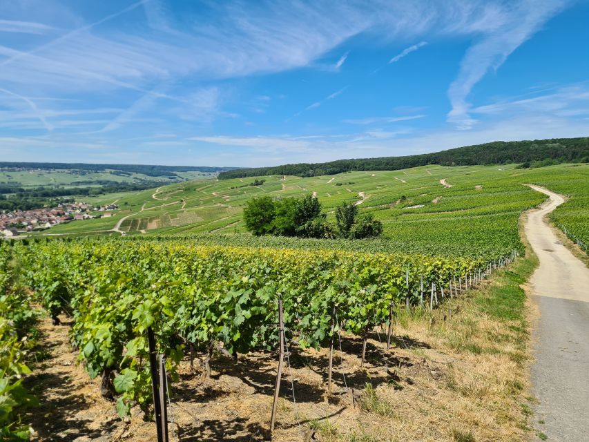 From Paris: Prestige Champagne Tour and Tastings - Boutique Champagne house: where the process gets more human