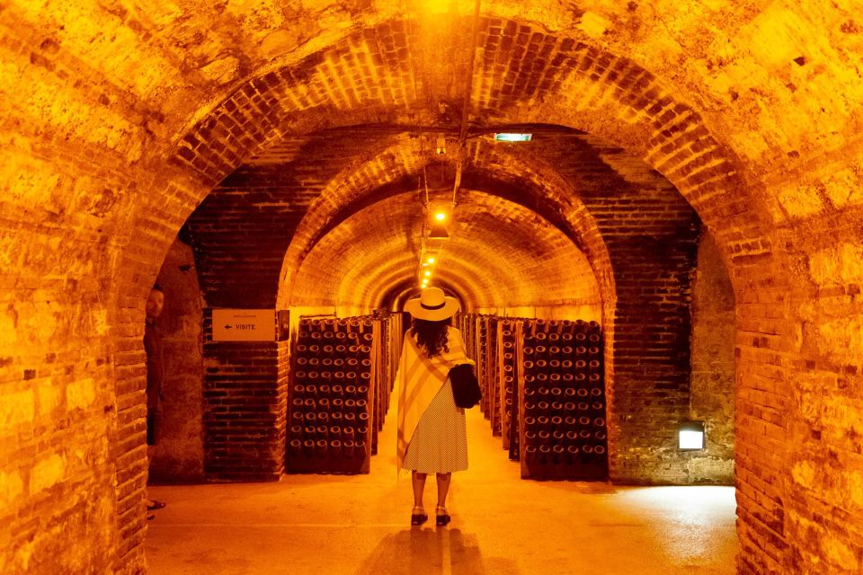 From Paris: Prestige Champagne Tour and Tastings - Tastings that make sense: learning the grapes as you go