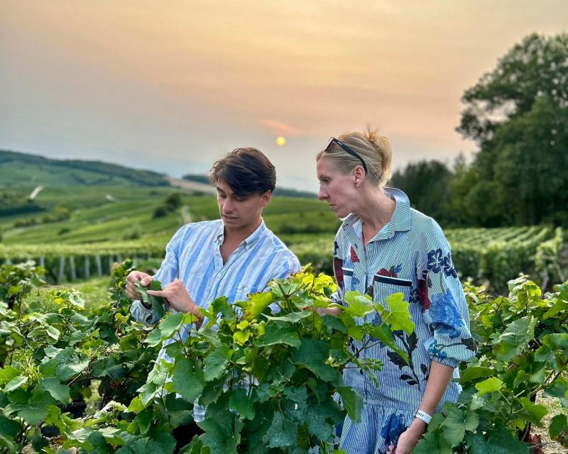 From Paris: Prestige Champagne Tour and Tastings - What could disappoint, and how to protect your day