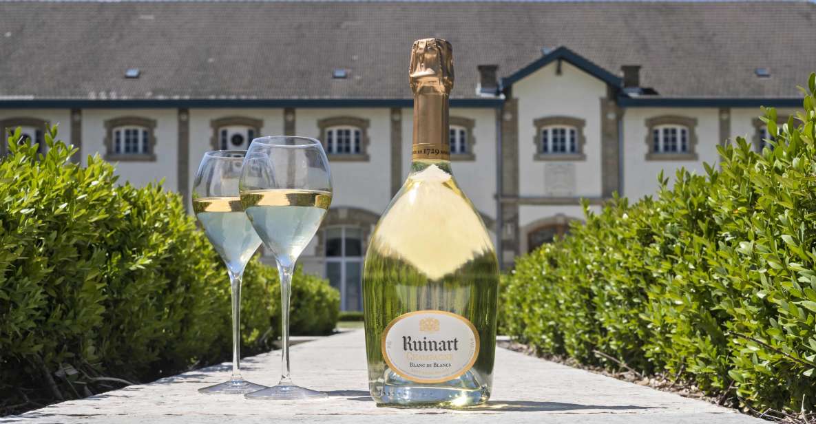 From Paris: Prestige Champagne Tour and Tastings - Why the vineyard drive matters: Montagne de Reims to Epernay