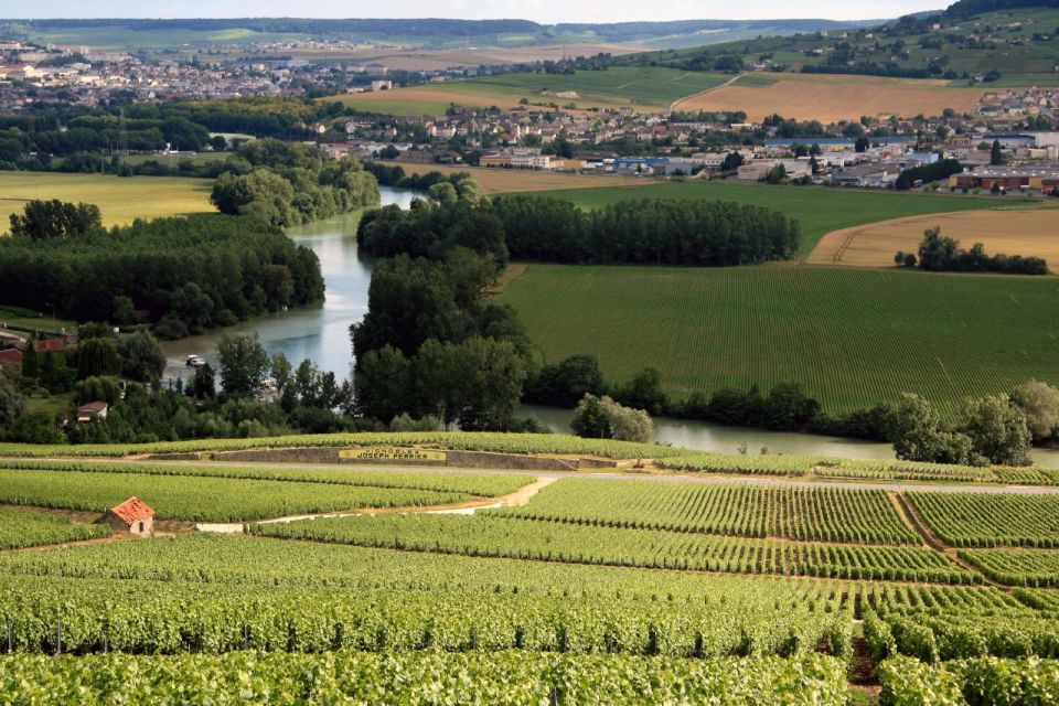 From Paris: Private Champagne Tour, Tastings at Moet&Chandon - Price and value: what you’re paying for (and why it can make sense)