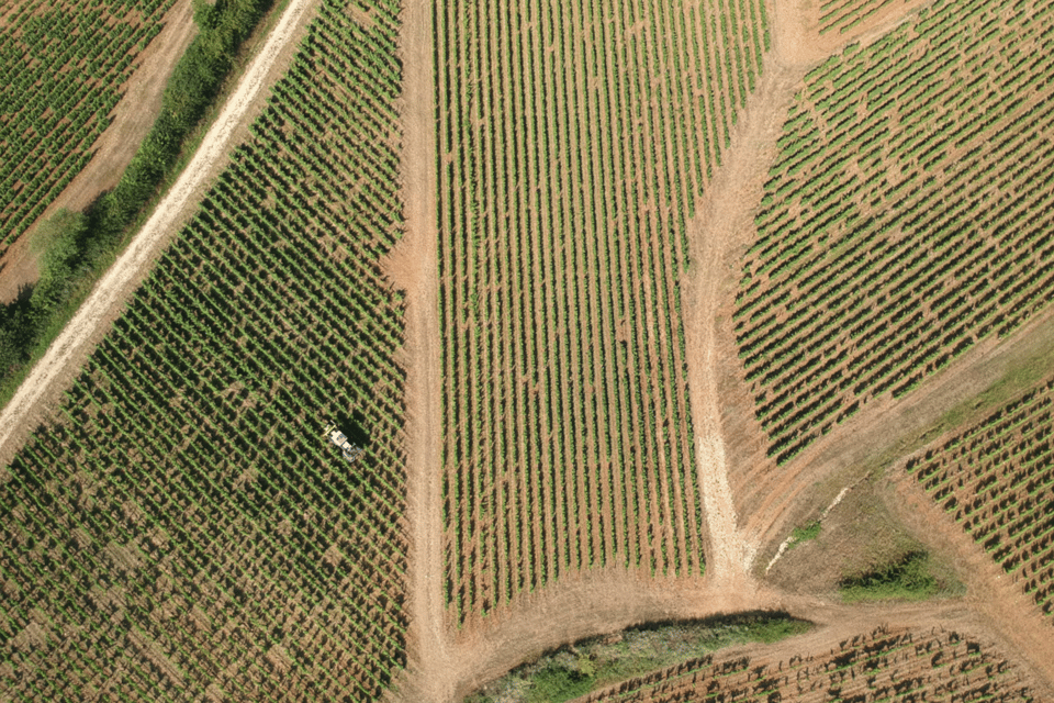From Paris: Private Sancerre Wine Tour w 10 Tastings & Lunch - Should you book this Sancerre wine tour?