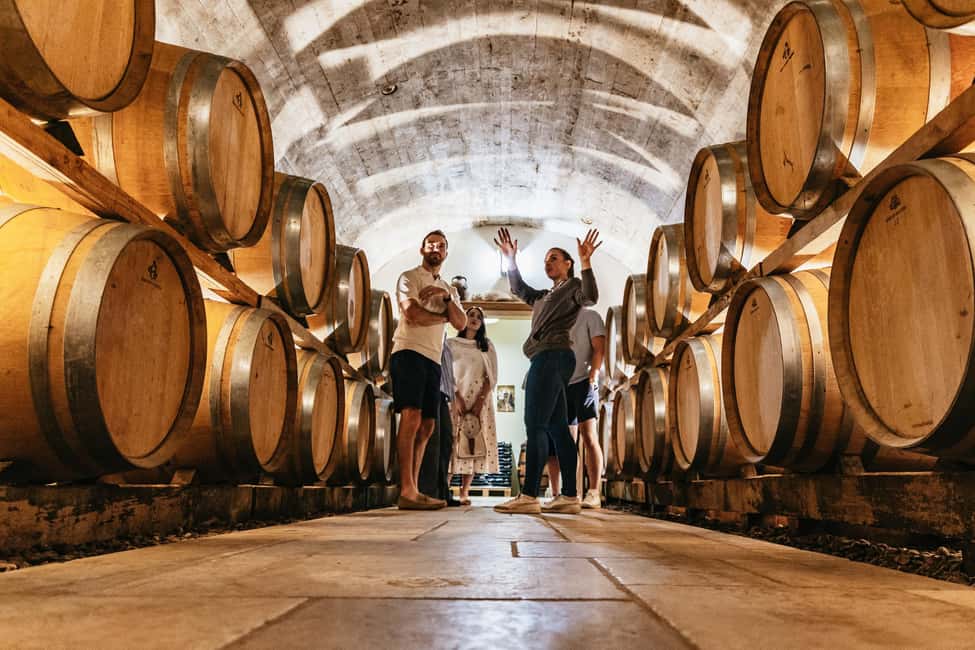 From Paris: Private Sancerre Wine Tour w 10 Tastings & Lunch - Family-run wineries: what to expect in the cellar and tasting room