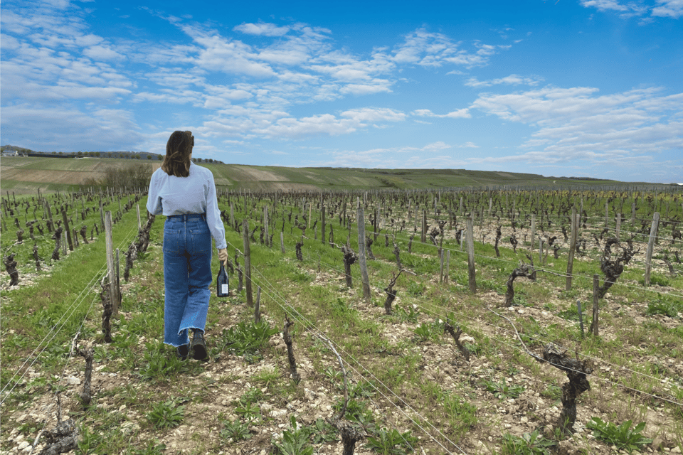From Paris: Wine Day trip to SANCERRE w 10 Tastings & Lunch - Pairings beyond Sancerre: neighboring appellations you might taste