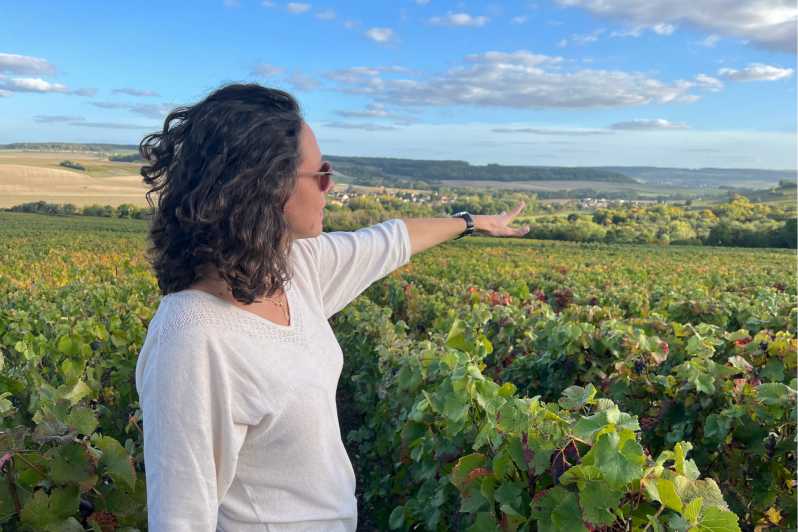 From Paris: Wine Day trip to SANCERRE w 10 Tastings & Lunch - Sancerre, in one day: why the format works