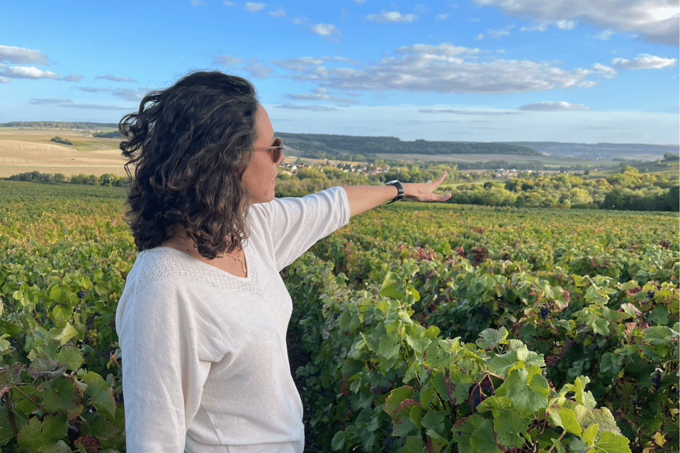 From Paris: Wine Day trip to SANCERRE w 10 Tastings & Lunch - The morning start: croissant, direction, and a fast intro to the region