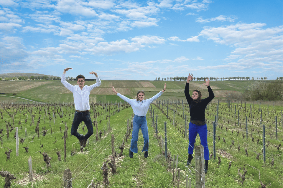 From Paris: Wine Day trip to SANCERRE w 10 Tastings & Lunch - The vineyard-view stop: a glass of wine outdoors
