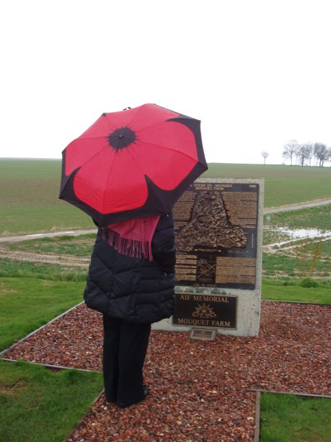 From Paris: WWI Somme Battlefields Full-Day Tour - WWI Somme from Paris: why this day trip hits harder