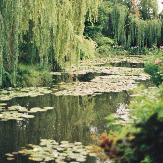 Giverny : Monet's house & Gardens Private tour from Paris - Who This Tour Suits Best