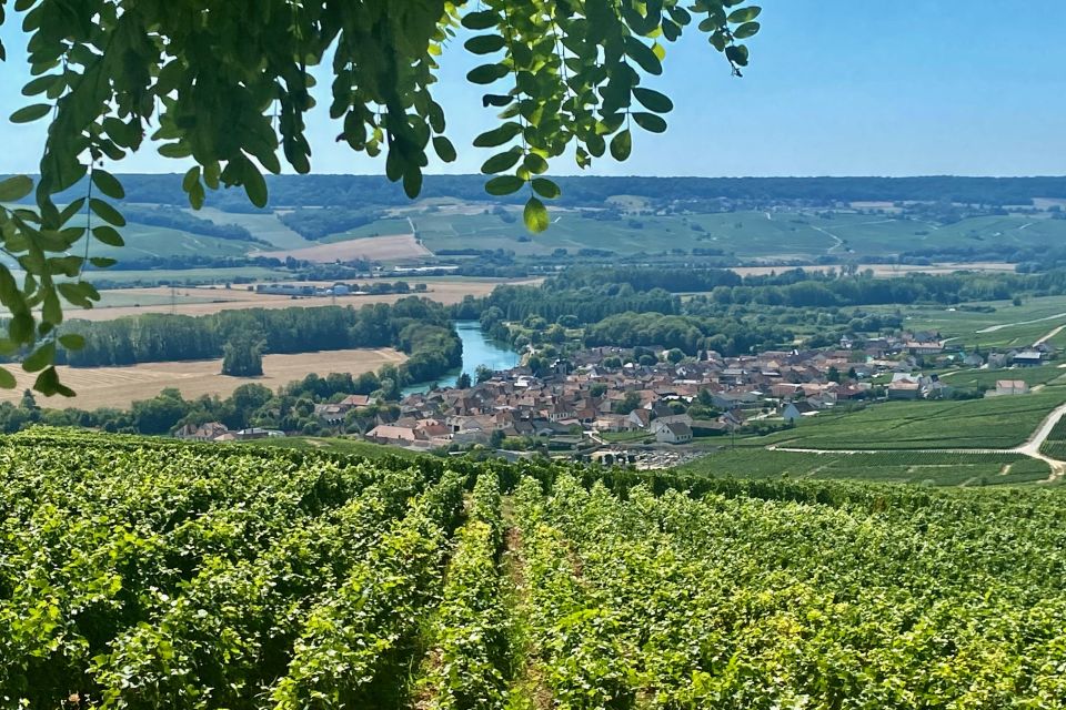 Grand Vintage Private Champagne Moet Chandon Veuve Clicquot - Hautvillers Viewpoints and Saint-Pierre d’Hautvillers Abbey Stops