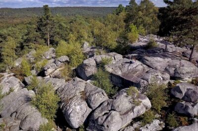 Half-Day Bouldering in Fontainebleau - Guides, technique, and the safety mindset that actually helps