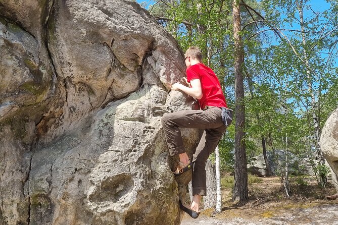 Half-Day Bouldering in Fontainebleau - Logistics from Paris: meeting at Bois-le-Roi without a headache