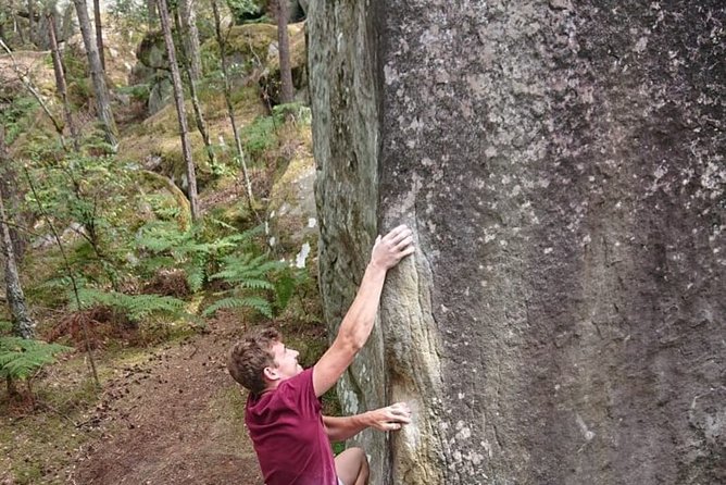 Half-Day Bouldering in Fontainebleau - What makes this day feel worth it beyond the climbs