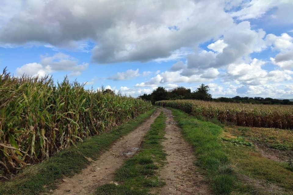 Hiking Adventure in Van Gogh's footsteps (6 miles walk) - Why Van Gogh’s final days feel different outside the city