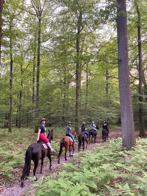 Paris: Aumont-en-Halatte Horseback Riding Tour - Getting There From Paris: Train + Taxi Tends to Win