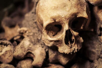 Paris: Catacombs Special Access Tour - Skip-the-line entry: from Paris street to underground ossuary
