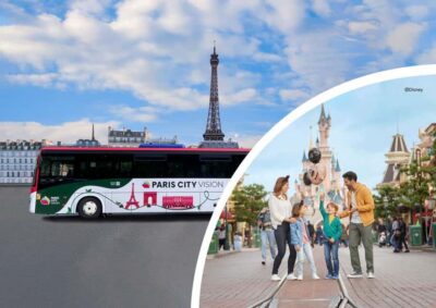 Paris: Disneyland Paris Ticket with Transfer - Starting in Paris: Pullman Paris Bercy Pickup Made Simple