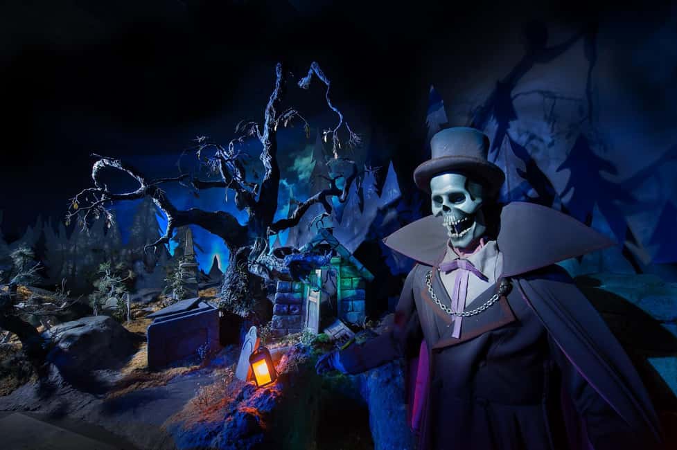 Paris: Disneyland Paris Ticket with Transfer - Disneyland Park Highlights: Mickey, Princess Magic, and the Big Moments