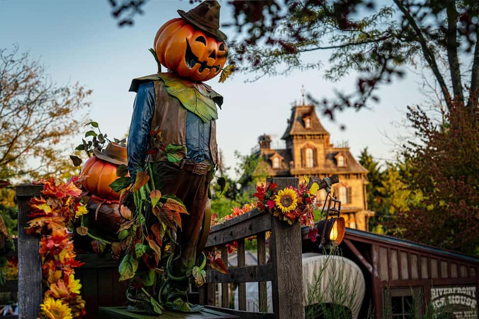 Paris: Disneyland Paris Ticket with Transfer - Timing Reality Check: The Included Return Can Feel Early