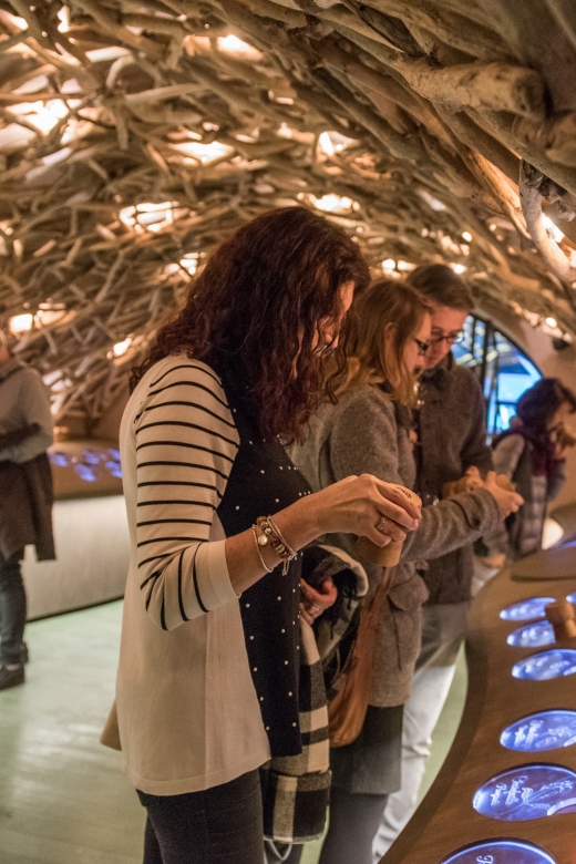 Paris: French Wine Experience in Parisian Cellar - Key highlights worth getting excited about