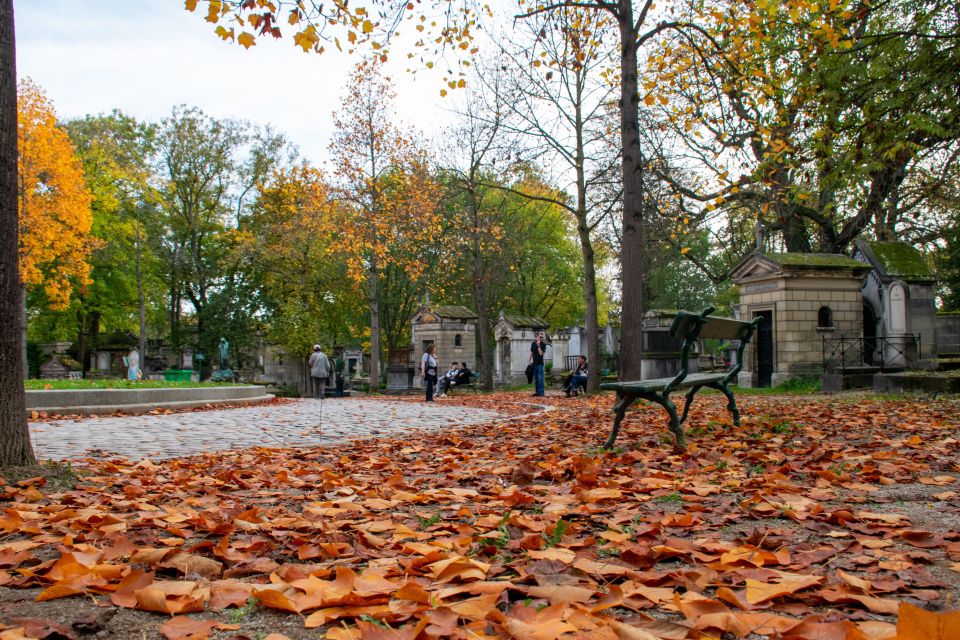 Paris: Full-Day Custom Tour with Local Guide - Montmartre on a 1.5-Hour Stroll: Views, Streets, and Local Energy