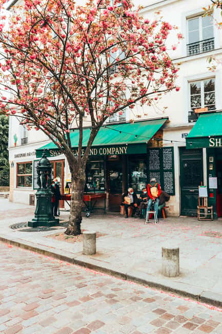 Paris: Latin Quarter Essential Highlights Walking Tour - Île de la Cité and the medieval layers you can feel