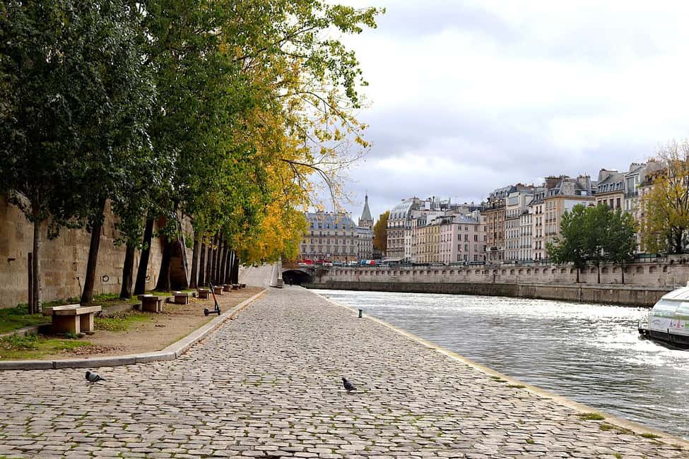 Paris: Latin Quarter Walking Tour with Local Guide - Notre Dame Cathedral: Gothic architecture you’ll actually look at