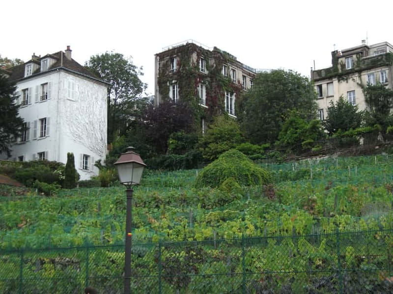 Paris: Montmartre Private Walking Tour - Key things that make this Montmartre tour work