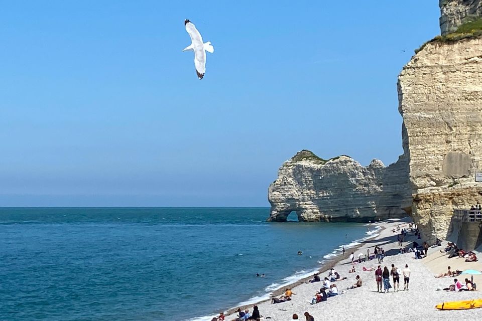 Paris: Normandy Rouen, Honfleur and Etretat Small-Group Tour - Should you book this Normandy day trip?