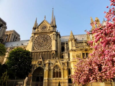 Paris: Notre Dame Exterior Private Tour - Meeting on Parvis Notre-Dame: Easy Start, Clear Focus