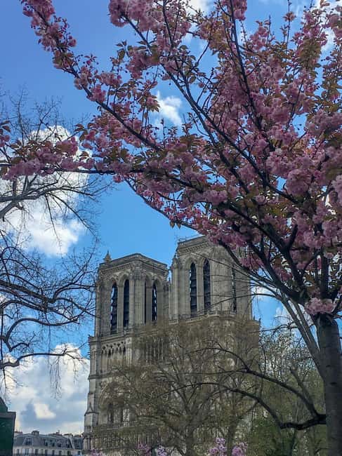 Paris: Notre Dame Exteriors and Ile de la Cité Walking Tour - The Conciergerie and Palais de Justice: where power turns into drama
