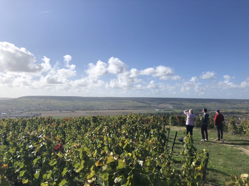 Paris: Private Day Trip to Champagne with 8 Tastings & Lunch - After lunch: Côte des Blancs and Vallée de la Marne viewpoints