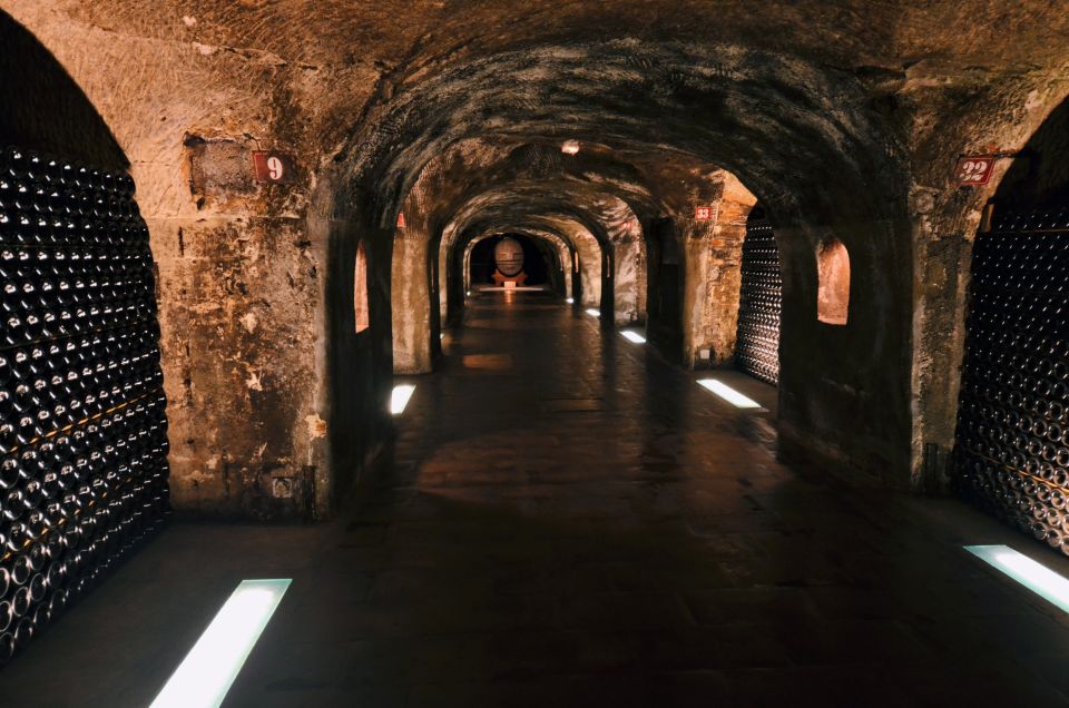 Paris: Private Day Trip to Champagne with 8 Tastings & Lunch - The 8 tastings: how to pace yourself and actually enjoy them