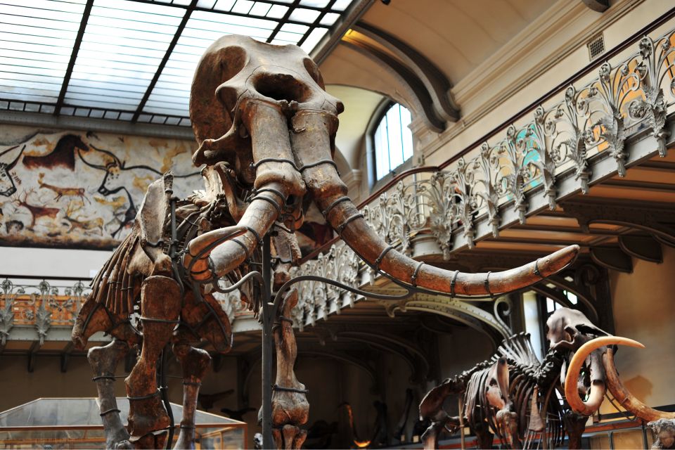 Paris: Private Family Tour, Highlights and Museum Visit - Nelson Mandela Garden and Stravinsky Fountain: play breaks in the middle of the story