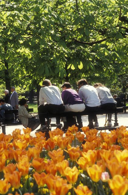 Paris Secret Gardens 1.30 hour long Walking Tour - Who should book this Paris secret gardens walk?