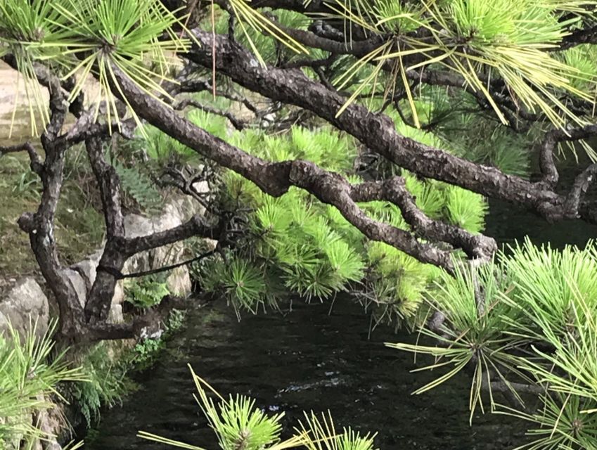 Paris Secret Gardens 1.30 hour long Walking Tour - What to expect on the day: timing, language, and group feel