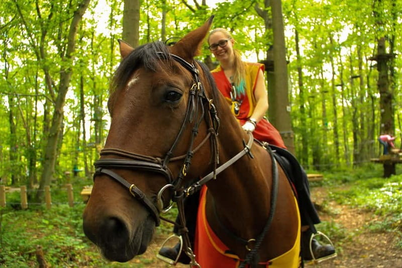 Paris : Sherwood Parc - Biggest Adventure Park Entry Ticket - Key Highlights You’ll Care About