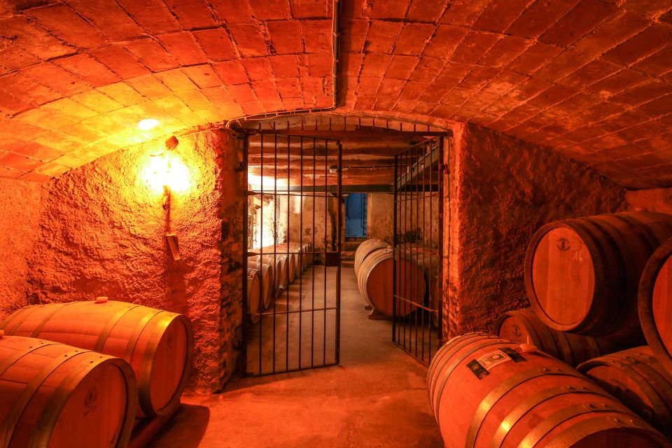 Paris: Two Reims Champagne Vineyards with Tastings and Lunch - Key Things to Know Before You Go